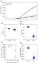 A method to determine antifungal activity in seed exudates by ...