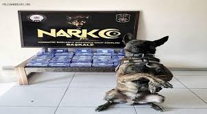 Afyonkarahisar'da narkotik polisi tarafından gerçekleştirilen operasyonda uyuşturucu maddeler ile birlikte boş ve doldurulmuş kaçak makaron ele geçirildi. Van Da Uyusturucu Operasyonu Narkotik Polishaberleri Org