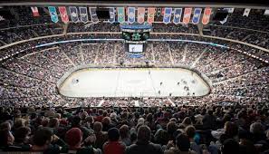 Could this be the minnesota wild's new 2016 stadium series jersey? Minnesota Wild Tailgating Supertailgate