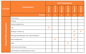 Director Skills Competency Assessment Effective Governance