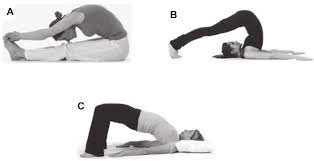 Yoga poses will move your body through a variety of postures and will stretch the muscles. Common Yoga Poses Associated With Extreme Spinal Flexion Adapted From Download Scientific Diagram
