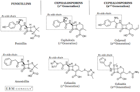 Penicillin And Cephalosporin Cross Reactivity And Risk For