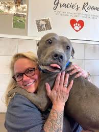Unleashed is a licensed dog and cat rescue and animal shelter in mission, kansas. Unleashed Pet Rescue 22 Photos 77 Reviews Animal Shelters 5918 Broadmoor Mission Ks Phone Number