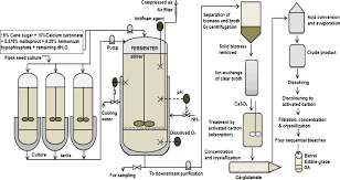 fermentative production of glutamic acid from renewable