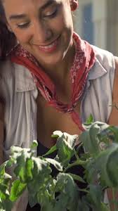 Elevate the style of your outdoor space with these easy tips from Sara  Bendrick! Click the 🔗 in bio to watch the full video! #SuncastCorp  #PrestoPatio #OutdoorSpaceMakeover #SaraBendrick #Partnership ...