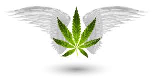 You will meet a lot of characters in the game and progress through the chapter mode featuring lots of episodes and missions. Marijuana Games Reviews Research And More