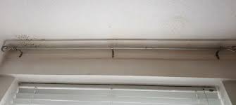 Common causes of bedroom mold. Ceiling Mold Growth Learn The Cause And How To Prevent It Environix