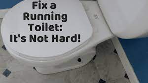 We did not find results for: Toilet Repair How To Fix A Leaking Or Running Toilet Dengarden