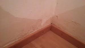 Jetzt die passende wohnung finden! Schimmelbildung Trotz Trockener Wand Wohnung Schimmel Feuchtigkeit