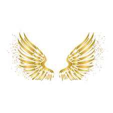 Black And White Angel Wings Png Png Edit Tumblr Overlay Sticker By Angel Wings Background Angel Wings Png Wings Wallpaper