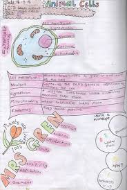 Check spelling or type a new query. Animal Cells Science Doodle Note Teaching Resources