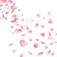 Cherry Blossom Flower Vector Png Ilustracion De Cerezos Ilustracion De Flor Clipart De Flor