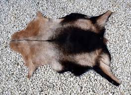 Dog Bed Rug Fur Rug Leather Rug Gift For Friends Natural Etsy Animal Rug Unique Christmas Gifts Leather Rug