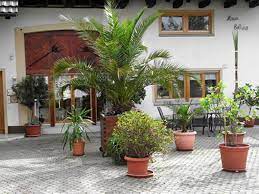 Cari ulasan wisatawan, foto asli, dan harga untuk hotel bintang 3 di badenweiler, jerman. Ferienwohnungen Und Hotels Im Schwarzwald