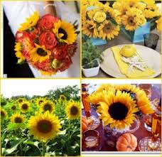 If you're considering having this gorgeous yellow sunflowers are in season in the uk throughout the summer months and at the start of autumn, and can grow to between one. Diy Wedding Projects Platinum Invitations Stationery