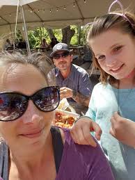 Chlorine frog system feedback and opinions