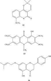 Image result for Teclea