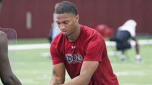 Jaylin Dickerson, South Carolina, Safety