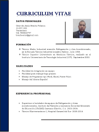 También es interesante añadir una carta de presentación en la que el candidato puede explicar qué puede aportar a la empresa de la que quiere formar parte. Curriculum Vitae Omir