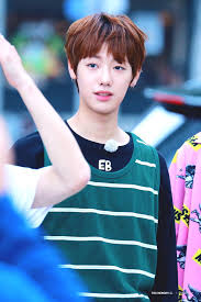 Son Youngtaek Entertainment