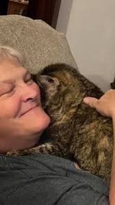 Gentle goat feeding techniques and tips