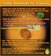 Pin On Essential Oils