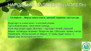 Какие есть праздники 14 апреля. Novosti Slavyanska Narodnyj Prazdnik Marya Zazhgi Snega Otmechaetsya 14 Aprelya