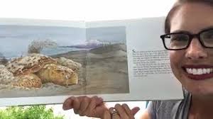 Turtle Tide by Stephen Swinburne