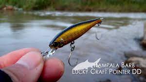 Divideo kali ini saya mancing hampala di sungai air lupua, dan video kali ini lebih banyak lupa idupin kamera nya. Hampala Barb With Lucky Craft Pointer Dd By Phrae Stream Fishing