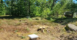 Image result for site:byggahus.se trädfällning