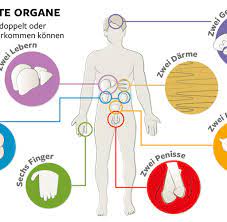 Organspende Wenn Die Gute Tat In Der Berufsunfahigkeit Endet Welt