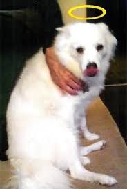 Lawrence G. "Larry" Bigler Obituary