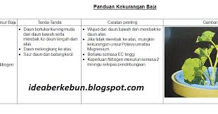 Cara membuat bakso memang bisa dikatakan tidaklah sulit. Berkebun Sebagai Hobi Pati Baja Ab