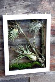 Pin On Decoracion Vegetal