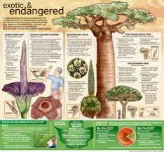 An endangered species is a species that is very likely to become extinct in the near future, either worldwide or in a particular political jurisdiction. 34 Threatened Endangered Plants Ideas Endangered Plants Plants Endangered