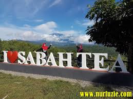 Is this valid for 24 hours ? Ladang Teh Sabah Ranau Trip Percutian Ke Sabah Tanpa Travel Agency Eintan Nurfuzie Lifestyle Beauty Travel Tips Rawatan Kucing Review