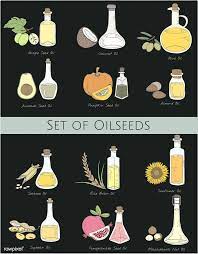 Vector Of Different Types Of Oil Premium Image By Rawpixel Com Mct Coconut Oil Pomegranate Seed Oil Oils
