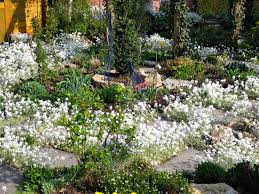 Unser Star Beim Tag Der Offenen Gartentur Gartenturen Stauden Garten