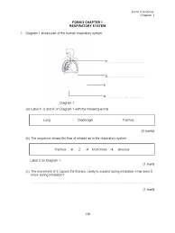 Chapter 3 biodiversity 1.organisms are living things such as humans, tigers, banana plants, ants,mosses and starfish. Form 3 Chapter 1 Respiratory System Respiration