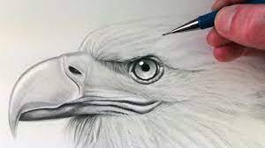 Pin By Robert Smitham On Diy Bird Toys Eagle Drawing Animal Drawings Bird Drawings