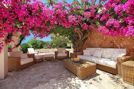 Arbuste Mediterraneen Qui Respire L Exotisme Bougainvillier Amenagement Jardin Arbuste Mediterraneen Bougainvillier