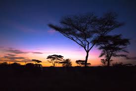 Image result for tbn:ekRZeqiUkU8b5M::www.hormiga.org/fondosescritorio/wallpapers/Paisajes-y-naturaleza/fotos/Paisajes-22.jpg