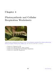 By the way, about cellular respiration worksheet answer key, we have collected some related pictures to inform you more. Chapter 4 Photosynthesis And Cellular Respiration Worksheets Flip Ebook Pages 1 33 Anyflip Anyflip