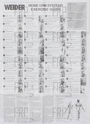 72 Exhaustive Weider Pro 9925 Exercise Chart