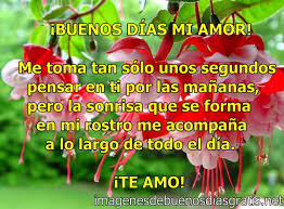 Pin En Lobos