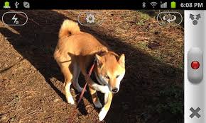 5play gives you chance to download the best android apps apk for free. Veetle 2 0 13 Download Android Apk Aptoide