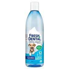 Mokai dental wipes for dogs and cats | dog dental wipes with chlorhexidine great for dog teeth cleaning and cat teeth cleaning preventing plaque tartar bad breath tooth decay and gingivitis 4.3 out of 5 stars 1,251 Naturel Promise Fresh Dental Health Solution For Dogs 18oz Target