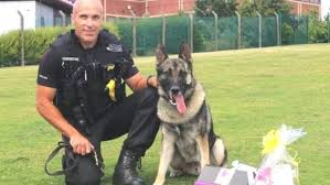 Knpv stands for koninklijke nederlandse politiehond vereniging (dutch: Eerste Gevangenisstraf Voor Mishandeling Politiehond