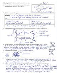 Dna structure and replication worksheet, dna structure worksheet answers and dna replication worksheet answer key are three main things we will show you based on the gallery title. Ib Dna Structure Replication Review Key 2 6 2 7 7 1