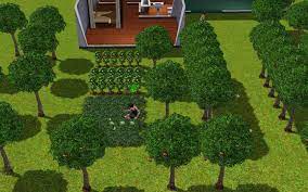 The Sims 3 Gardening Classes Planting Watering You Garden
